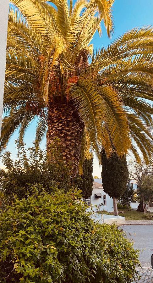 Albufeira Praia Sao Rafael Sun Apartment ภายนอก รูปภาพ